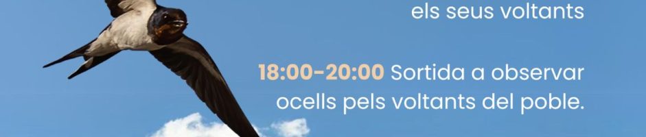 CELEBRATION OF THE 50TH ANNIVERSARY OF ICO IN ÀGER